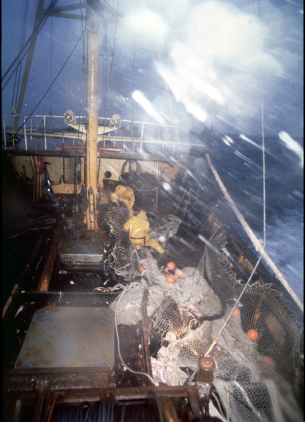 Tempête storm